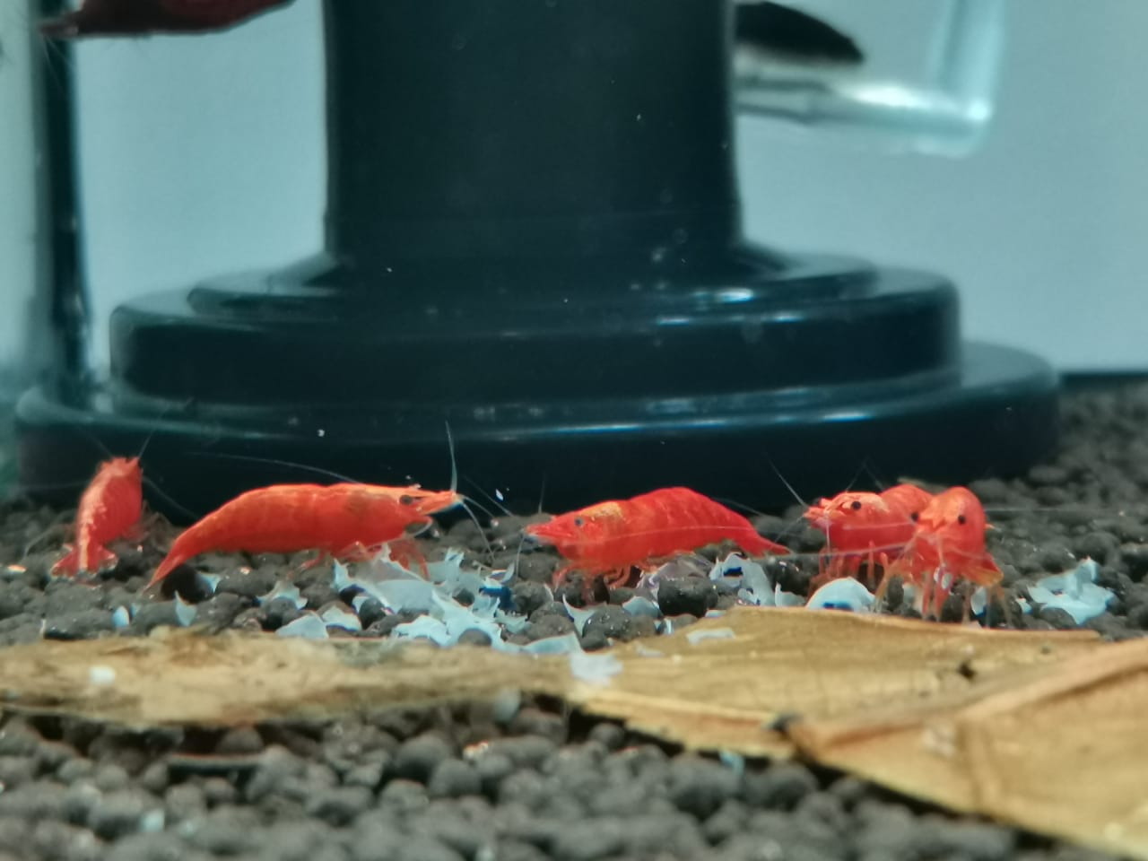 WhatsApp Image 2022-09-24 at 10.11.44 AM